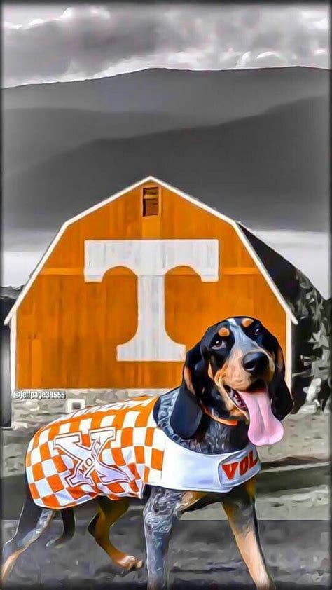 Why is the tennessee volunteers mascot a dog